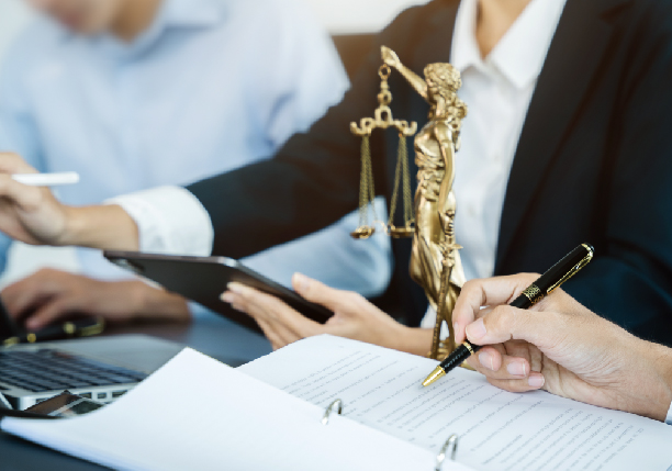 Intellectual Property Lawyer
