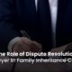 the role of dispute resolution 80x80