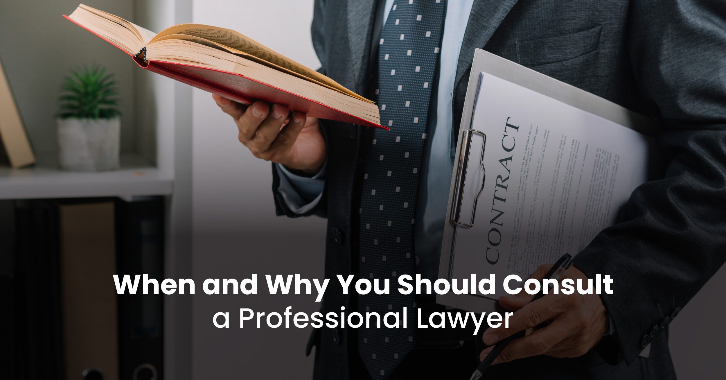 When and Why You Should Consult a Professional Lawyer